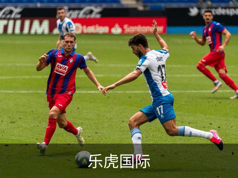 乐虎国际概况